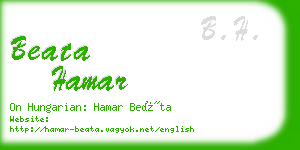 beata hamar business card